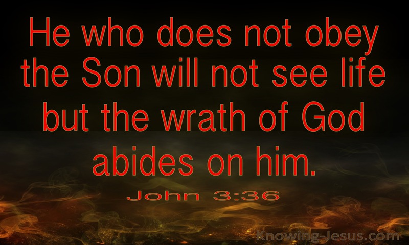 John 3:36 He Who Believes Has Eternal Life (red)
